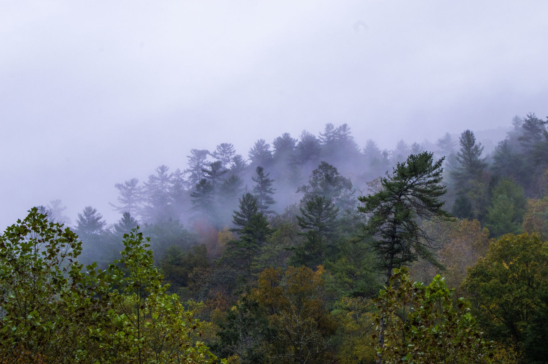 20191026-DSC_7698.jpg
